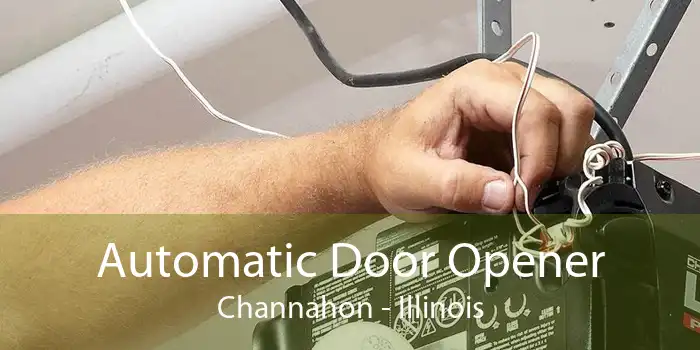 Automatic Door Opener Channahon - Illinois