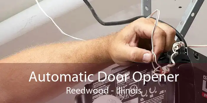 Automatic Door Opener Reedwood - Illinois