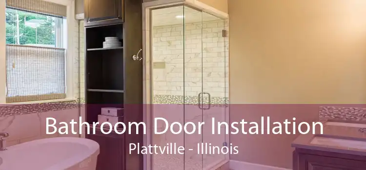 Bathroom Door Installation Plattville - Illinois