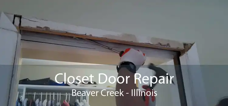 Closet Door Repair Beaver Creek - Illinois