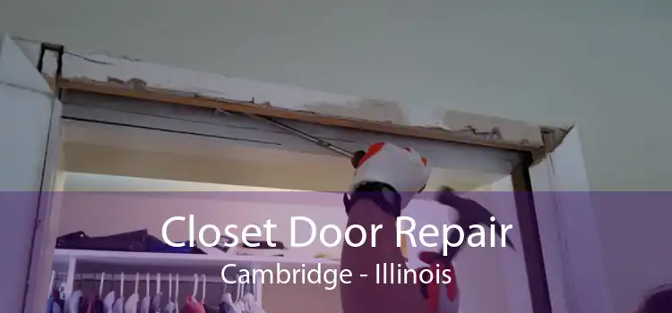 Closet Door Repair Cambridge - Illinois