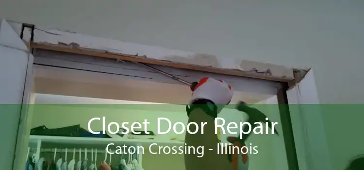 Closet Door Repair Caton Crossing - Illinois