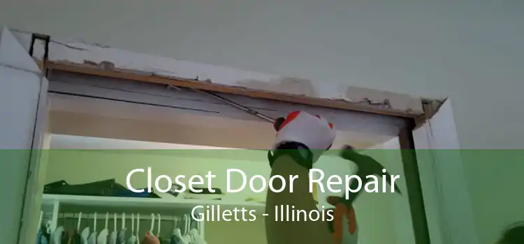 Closet Door Repair Gilletts - Illinois