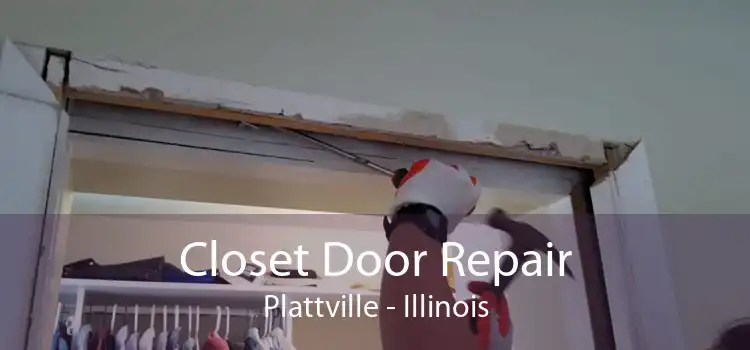 Closet Door Repair Plattville - Illinois