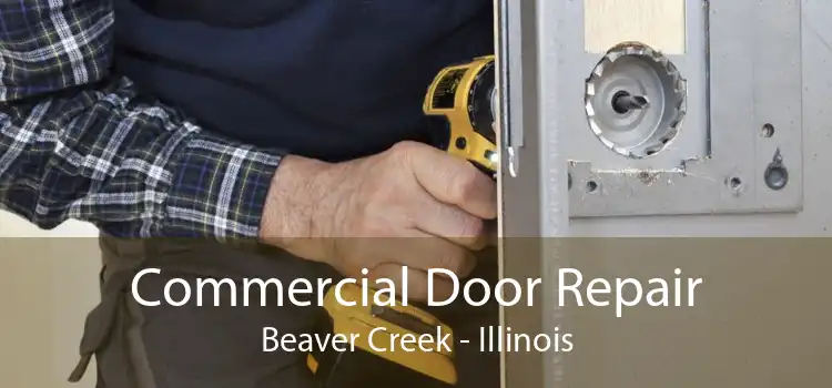 Commercial Door Repair Beaver Creek - Illinois