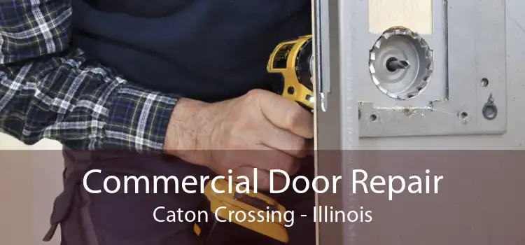 Commercial Door Repair Caton Crossing - Illinois