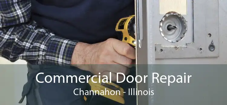 Commercial Door Repair Channahon - Illinois