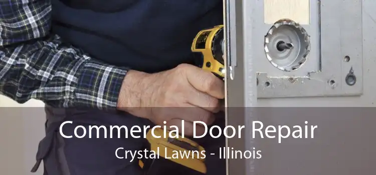 Commercial Door Repair Crystal Lawns - Illinois