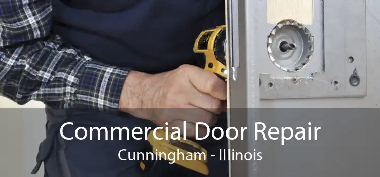 Commercial Door Repair Cunningham - Illinois