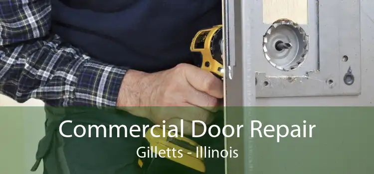 Commercial Door Repair Gilletts - Illinois