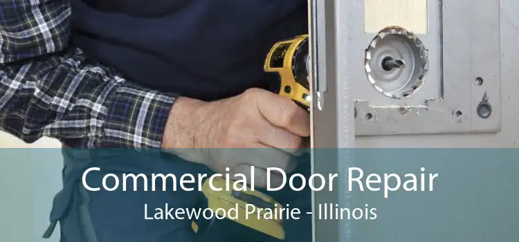 Commercial Door Repair Lakewood Prairie - Illinois