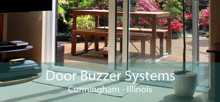 Door Buzzer Systems Cunningham - Illinois