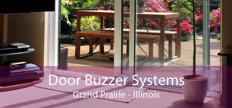 Door Buzzer Systems Grand Prairie - Illinois