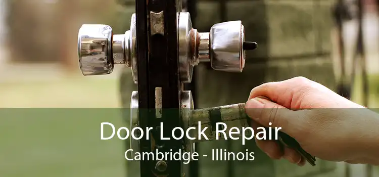 Door Lock Repair Cambridge - Illinois