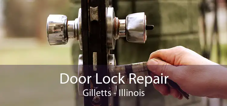 Door Lock Repair Gilletts - Illinois