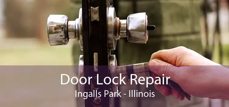 Door Lock Repair Ingalls Park - Illinois