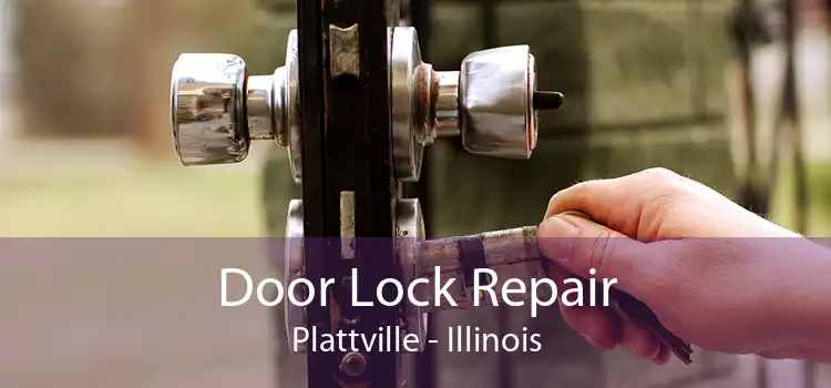 Door Lock Repair Plattville - Illinois