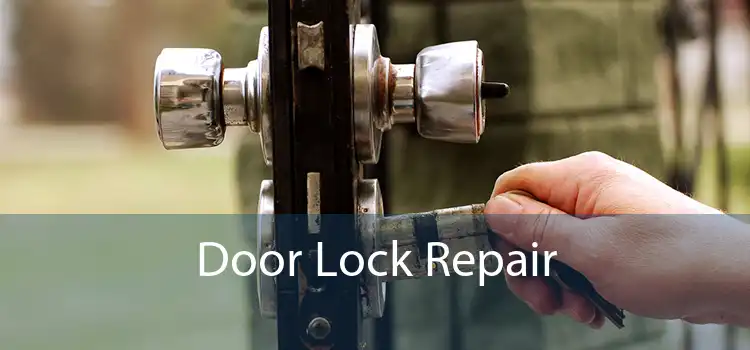 Door Lock Repair 