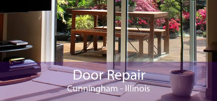 Door Repair Cunningham - Illinois