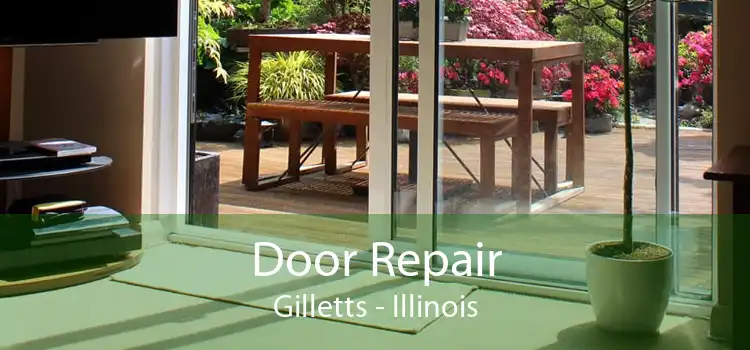 Door Repair Gilletts - Illinois