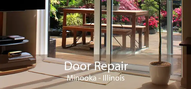 Door Repair Minooka - Illinois