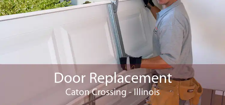 Door Replacement Caton Crossing - Illinois