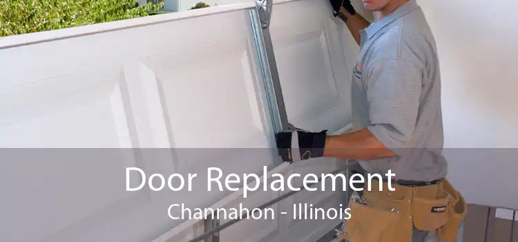 Door Replacement Channahon - Illinois