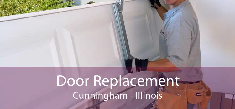 Door Replacement Cunningham - Illinois