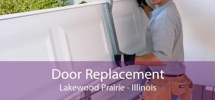 Door Replacement Lakewood Prairie - Illinois