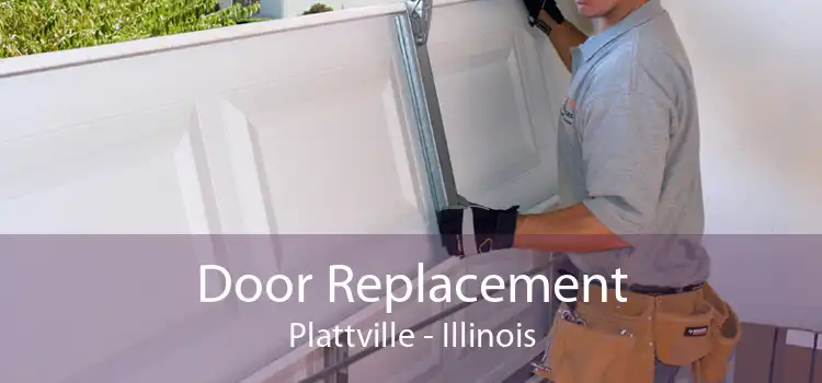 Door Replacement Plattville - Illinois