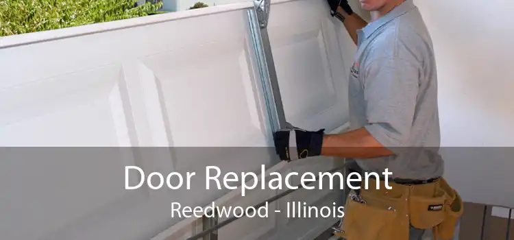 Door Replacement Reedwood - Illinois