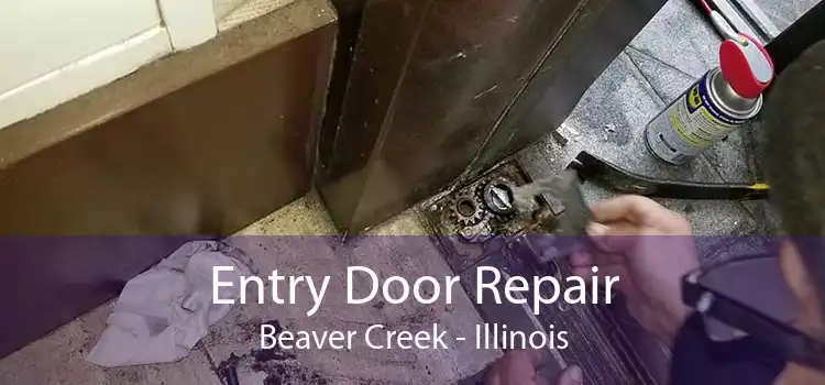 Entry Door Repair Beaver Creek - Illinois