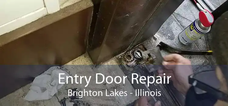 Entry Door Repair Brighton Lakes - Illinois