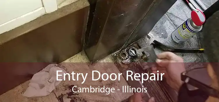 Entry Door Repair Cambridge - Illinois