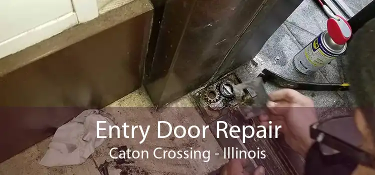 Entry Door Repair Caton Crossing - Illinois