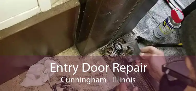 Entry Door Repair Cunningham - Illinois