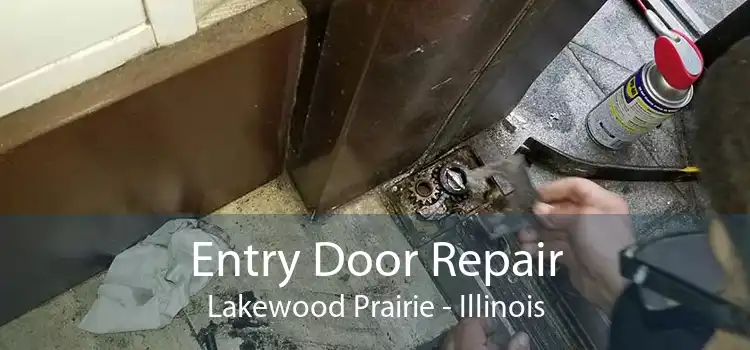 Entry Door Repair Lakewood Prairie - Illinois