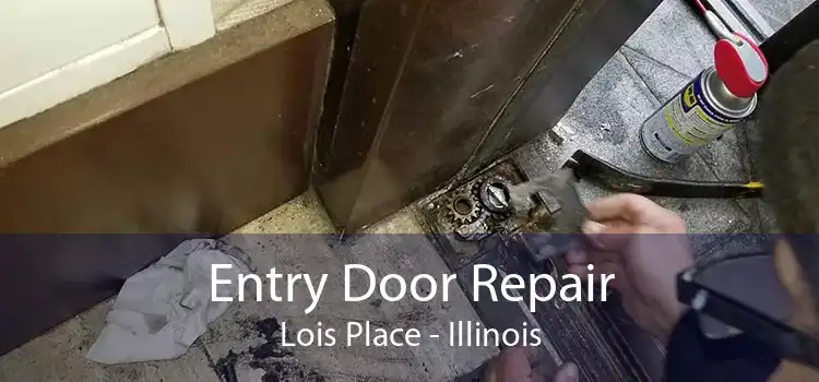 Entry Door Repair Lois Place - Illinois