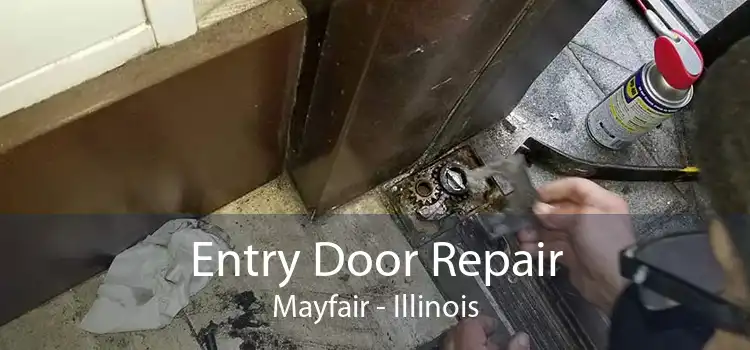 Entry Door Repair Mayfair - Illinois