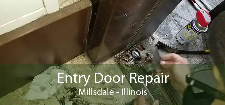 Entry Door Repair Millsdale - Illinois