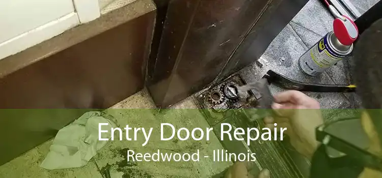 Entry Door Repair Reedwood - Illinois