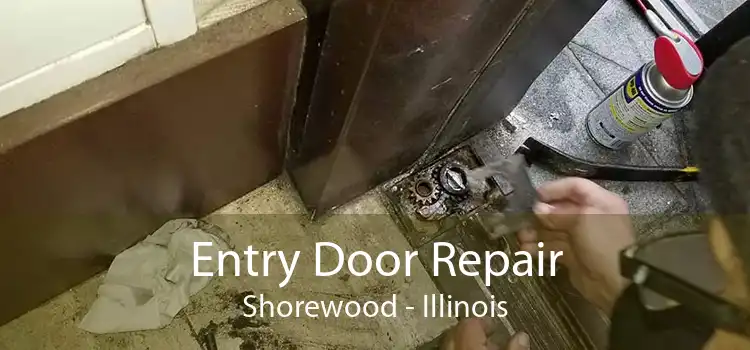 Entry Door Repair Shorewood - Illinois