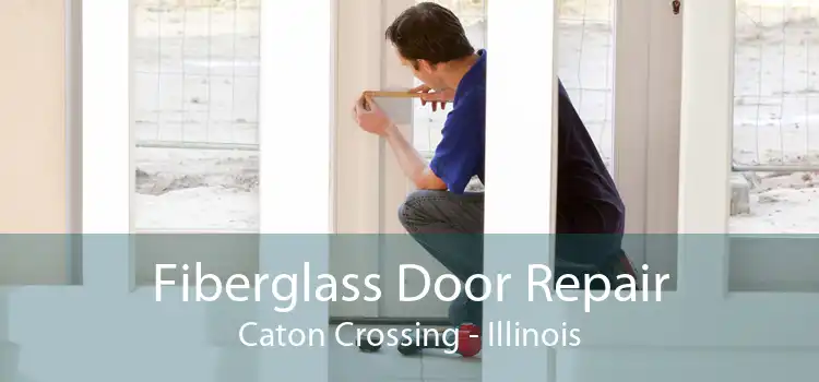 Fiberglass Door Repair Caton Crossing - Illinois