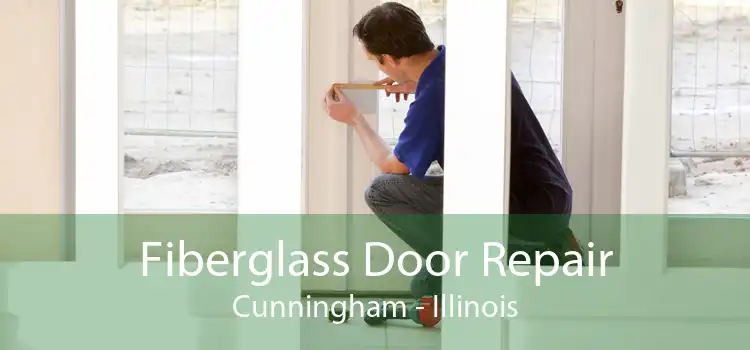 Fiberglass Door Repair Cunningham - Illinois