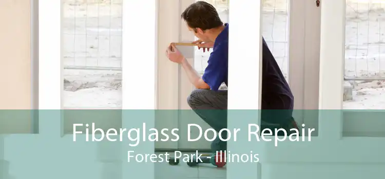 Fiberglass Door Repair Forest Park - Illinois