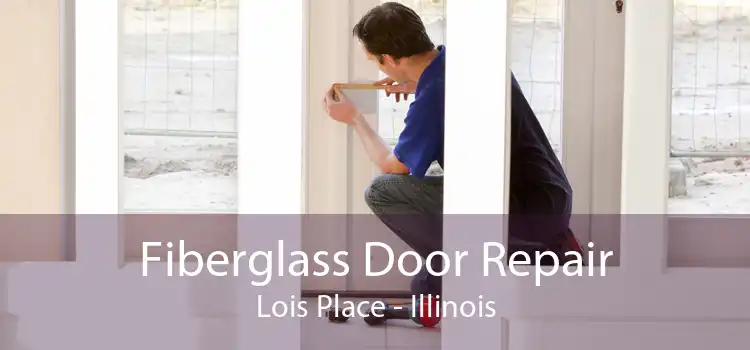 Fiberglass Door Repair Lois Place - Illinois