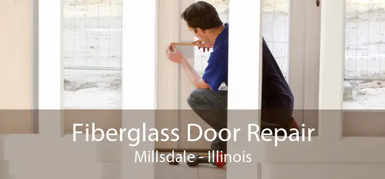 Fiberglass Door Repair Millsdale - Illinois