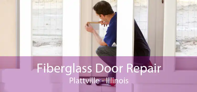 Fiberglass Door Repair Plattville - Illinois