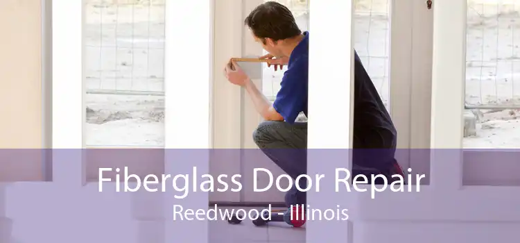 Fiberglass Door Repair Reedwood - Illinois