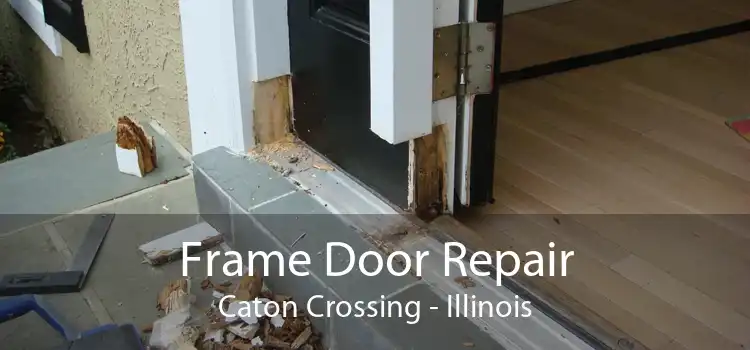 Frame Door Repair Caton Crossing - Illinois